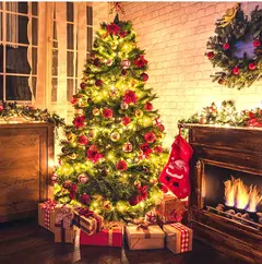 Decorativa LED String Fairy Lights, Lâmpada de férias ao ar livre, Guirlanda para árvore de Natal, Decoração de casamento, 50m, 100m, 110V, 220V - loja online