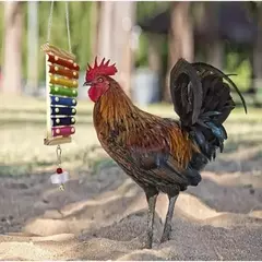 Imagem do Pássaro colorido xilofone brinquedo papagaios frango brinquedos gaiola de pássaro acessórios de brinquedo periquitos e papagaios brinquedos