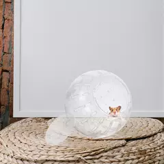 Imagem do Bolas running plásticas para Chinchilla, roda do exercício do coelho, brinquedo do hamster, bola anã