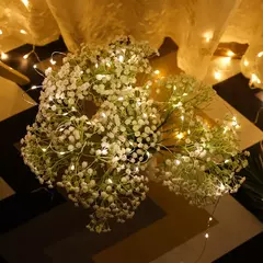 USB LED String Lights para decoração de Natal Luzes de fadas impermeáveis Fio de cobre, Guirlanda de luz, Festa de casamento, 10 m, 20 m, 30m - Wolf Magazine