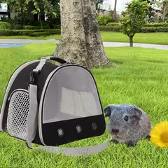 Transportador de cobaia portátil, gaiola transparente para transporte de hamster, bolsa de viagem para répteis, coelho pequeno para animais de estimação, dragão barbudo ao ar livre - Wolf Magazine