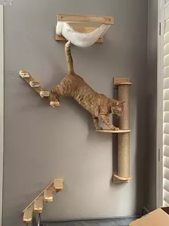 Montado na parede gato escalada prateleira passos móveis de parede escada com corda sisal arranhando pós árvore para gatos gatinho dormir