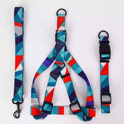 Abstract Peito e Arnês Set para Pet, Dog Webbing Leash, Walking Leash, Dog Collar, Conjunto de três peças, 1pc