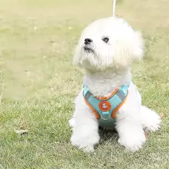 Imagem do Conjunto de coleira para cães, coleira reflexiva ajustável, coleira para cães pequenos e médios, acessórios para cachorros, pomerânia