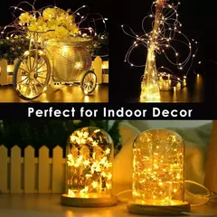 USB LED String Lights com controle remoto, lâmpadas, guirlandas de fadas, lâmpadas, 8 modos, casamento, Natal, feriado, ano novo, 5m, 10m, 20m, 30m - Wolf Magazine