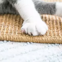 Sisal Mat Board para Cat Scratcher, Sharpen Nails, Scratching Post, Sofa Mats, Protetor de Móveis, Brinquedos - loja online