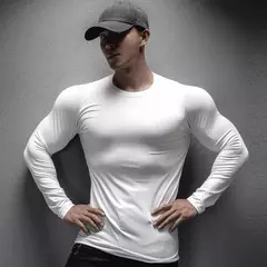 Camiseta de manga comprida seca rápida masculina, tops esportivos musculares, corrida de lazer, nova para primavera e outono na internet