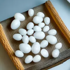 10/1 pçs plástico simulação realista ovos de pássaro pombo codorna ovo falso ferramentas avicultura ninho incubação ovos accesorios para pajaros - comprar online