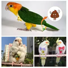 Papagaio pombo fralda terno de vôo pássaro fralda papagaio roupas para bochecha verde periquito cockatiel conure pequenos pássaros médios - loja online