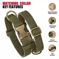 Ajustável coleira de couro PU e trela, durável pet coleiras, chumbo corda, colar macio, pequeno, médio, cães grandes, buldogue - loja online