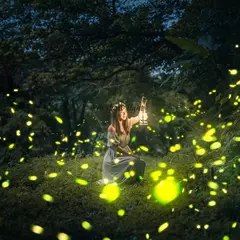 Projetor de Luz Laser Firefly IP65 Impermeável, Luz de Natal, Jardim ao ar livre, Pátio, Casa, Decoração do quarto - loja online