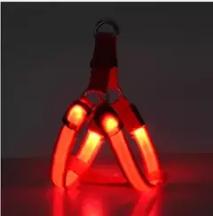 Nylon pet segurança led arnês trela conjunto cão ajustável piscando luz arnês trela corda cinto colar colete para cães suprimentos para animais de estimação na internet
