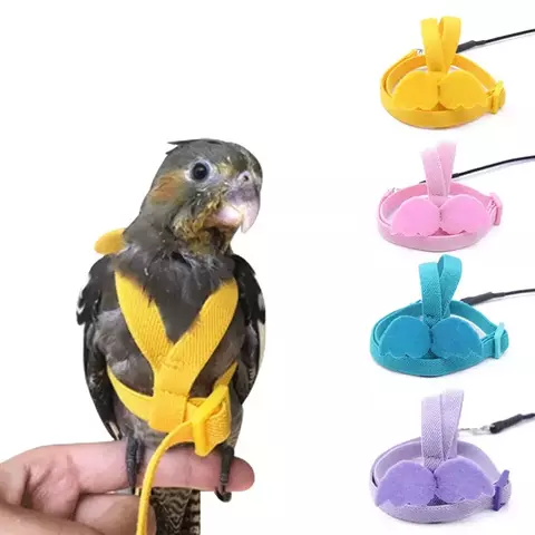Papagaio voando arnês trela terno animal de estimação pássaro ao ar livre treinamento de vôo corda cockatiel suprimentos arara acessórios coisas para papagaio
