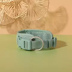 Imagem do Coleira de cachorro personalizada, arnês para cães gravado, leve, veludo, designer, coleira e coleira, conjunto acolchoado, totalmente ajustável