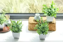 Simulação bonsai para decoração de casa, plantas artificiais, plantas falsificadas, para o jardim, quarto, sala, banheiro, 1 quarto - loja online