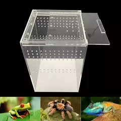 Acrílico Reptile Breeding Box para Pet, Inseto Transparente, Arboreal Wolf Fence, Aranha Lagarto, Anfíbio e Lagarto - comprar online
