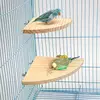 Papagaio pássaro madeira poleiro suporte plataforma retângulo em forma de leque prateleira suporte placa periquito hamster gerbil rato gaiola gaiola suprimentos
