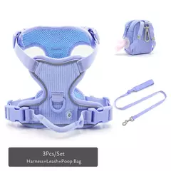 Coleira de cachorro personalizada, arnês para cães gravado, leve, veludo, designer, coleira e coleira, conjunto acolchoado, totalmente ajustável - loja online