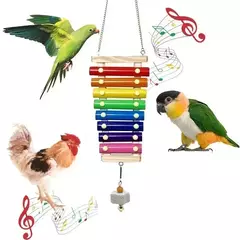 Pássaro colorido xilofone brinquedo papagaios frango brinquedos gaiola de pássaro acessórios de brinquedo periquitos e papagaios brinquedos