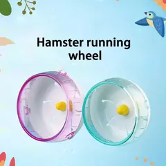 Rodas de exercício silenciosas para hamster, girador silencioso, rodas de corrida para hamsters, gerbos, ratos, animais pequenos, suprimentos para animais de estimação - loja online