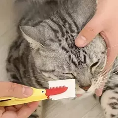 1pc pet rasgo marcas escova gato cão olho excrementos escova nó olho limpador clipe escova macia limpeza escova macia pequena ferramenta para animais de estimação - comprar online