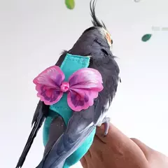 1 pçs papagaio pássaro fraldas com arnês trela roupas de vôo terno para pequenos pássaros médios periquitos papagaio cockatiel roupas de pássaros - loja online