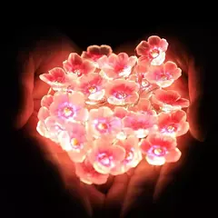 LED String Fairy Lights para decoração de interiores, flor de cerejeira, guirlanda lâmpada, pilhas, flores de cristal, casamento, Natal, 2m - Wolf Magazine