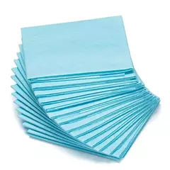 Fraldas absorventes descartáveis para cães, Puppy Training Pee Pads, Quick Dry Surface Mat, Almofada Limpa, Dog Supplies, 100, 50, 40, 20Pcs na internet