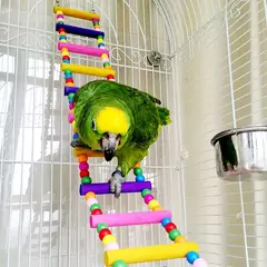 Escada de escalada suspensa de madeira multicolorida, brinquedos, 12 degraus, ponte colorida, balanços para pássaros, papagaio, periquito, calopsita, periquito - comprar online