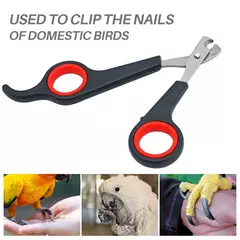 Imagem do Animal de estimação pássaro papagaio pequenos animais acessório ferramenta aliciamento tesoura cortador preto e vermelho