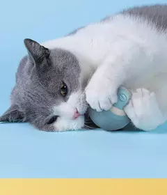 2 pçs gato bola interativa interior rolamento automático bola mágica inteligente gato brinquedos eletrônico interativo gato brinquedo gato jogo acessórios