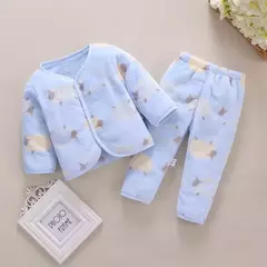 Conjunto de roupas para bebês recém-nascidos, criança macia, jaqueta, calça, desenhos animados, meninos, meninas, voar, primavera, outono, 0-24M, 2pcs - comprar online