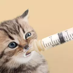 Imagem do Mamilo de mamadeira com mamilo de silicone, recém-nascido, cachorro, gato, hamster, coelhos, gatinhos, filhotes, chupeta