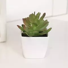 Mini suculenta artificial planta verde plástico Wwhite bacia, Home Window Sill, Restaurante Desktop Bookshelf Decoração, 6pcs por conjunto - Wolf Magazine
