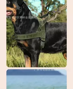 Imagem do Novo coleira de colete para cães, cinta peitoral grande para cães, cavalo, golden retriever, coleira lateral de pastor, conjunto de arnês e coleira para animais de estimação