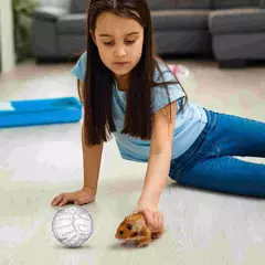 Bolas running plásticas para Chinchilla, roda do exercício do coelho, brinquedo do hamster, bola anã