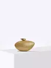 Saco de embreagem em forma de ovo acrílico para mulheres, bolsa de festa à noite, bolsa fofa, bolsa Rose Shell, designer de alta qualidade, nova