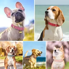 Coleira de cachorro acolchoada macia conjunto de coleira de couro pu para cães de estimação colar com corda de chumbo para caminhada ajustável para cães pequenos e médios pug na internet