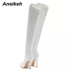 Aneikeh-sexy sobre as botas do joelho com zíper lateral para as mulheres, dedo apontado sapatos, saltos finos listrados, nova moda, primavera, 24 - Wolf Magazine