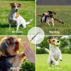 Apito de cachorro com chaveiro ajustável, pare de latir, recall profissional para cachorro, gato, animal de estimação, 1 pc, 2pcs - Wolf Magazine