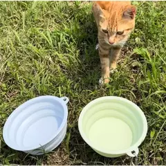 2 pçs dobrável pet silicone cão comida tigela de água acampamento ao ar livre viagem portátil dobrável suprimentos pratos com mosquetão