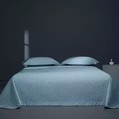 Legal Feeling Lyocell e Eucalyptus Fibra Colcha acolchoada, Algodão Colchão Capa, Topper Coverlet, lençol, Summer Mat, 1 Pc, 3 Pcs na internet