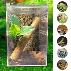 Acrílico Reptile Breeding Box para Pet, Inseto Transparente, Arboreal Wolf Fence, Aranha Lagarto, Anfíbio e Lagarto