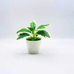 Decorações De Plantas Em Vaso De Falso, Prateleiras Artificiais, Casa, Sala, Jardim, Escritório, Casamento, Quarto, Banheiro, Cena Acessórios na internet