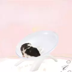 Imagem do Roda de exercício silenciosa para hamster giratório – pires de corrida duráveis e antiderrapantes para animais de estimação pequenos como hamsters, gerbils e ratos