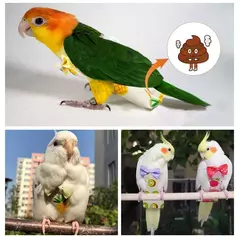 Papagaio pombo fralda terno de vôo pássaro fralda papagaio roupas para bochecha verde periquito cockatiel conure pequenos pássaros médios na internet