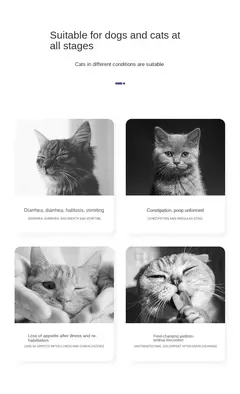 Probióticos para cães, gatos, animais de estimação, condicionamento, tesouro gastrointestinal para melhorar a diarreia, vomitando e diarreia 50g - loja online