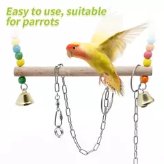 Anel de perna de papagaio, aço inoxidável, pássaro, tornozelo, pé, corrente, corda de fio anti-mordida, acessórios de treinamento de voo ao ar livre, fornecimento de pombos - comprar online