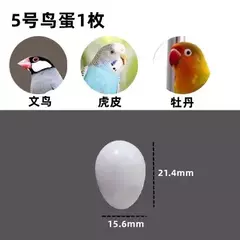Imagem do 10/1 pçs plástico simulação realista ovos de pássaro pombo codorna ovo falso ferramentas avicultura ninho incubação ovos accesorios para pajaros