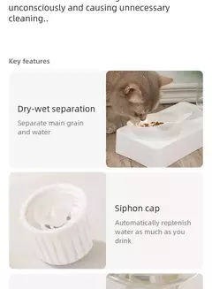 Pet Bowl 15 Graus Tilt para Proteger a Vértebra Cervical Dog Food Bowl Automático Beber Alimentador Pet Alimentação Suprimentos - Wolf Magazine